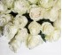 Монобукет из 51 белой розы